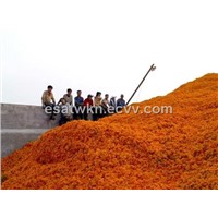 Our Strong Product---Lutein (Marigold extract)