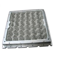 Plastic fruit tray mould