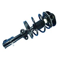 Sell complete strut for BUICK,CHEVROLET,LEXUS,ACURA