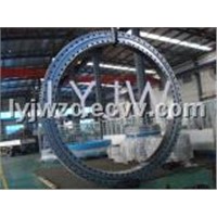Slew Bearing