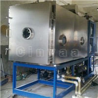 Vacuum Fruit Freeze Dryer