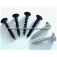 coarse thread drywall screws