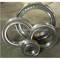 cylindrical roller bearing