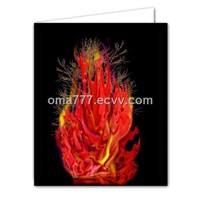 holiday christmas greeting cards with envelop