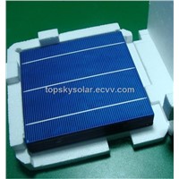 156*156mm poly cell