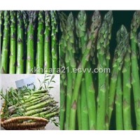 Asparagus Extract