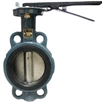 Carbon steel Butterfly valve
