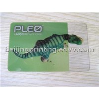 China Beijing PVC Card Printing Company