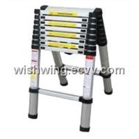 DOUBLE EXTENSION telescopic ladder