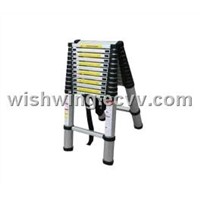 Double extension telescopic ladder