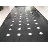 PE agricultural mulch film with holes