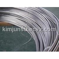 Seamless Stainless Steel Pipe (904L)