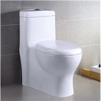 Siphonic one piece toilet/DA035