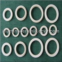 alumina ceramic seal rings