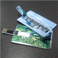 Card USB Key Drive