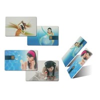 Bussiness Card USB Flash Memory / Promotional Card USB