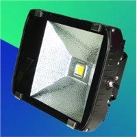 Environmentally Friendly LED Tunnel Light 100W ES-FL110-B1