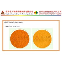 Lutein Powder-Natural Yellow Pigment for Feed