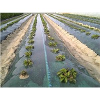 pe agricultural mulch film with holes