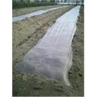 pe biodegradable agricultural mulch with holes