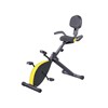 Magnetic exercise bike with back