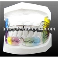 Dental Orthodontic Appliance