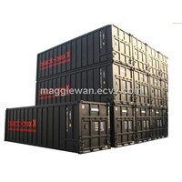 40gp/40dv/d20/40ft Steel Dry Cargo Container