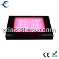 600W led grow lighting China