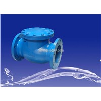 Swing Check Valve