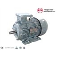 Fenghua City Electric Motor Factory