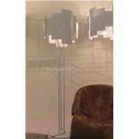 Modern Decoration Floor Lamp (SM2136F)