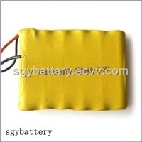 Ni-CD  AAA400mAh 7.2V Battery Pack