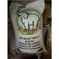 PP Woven Bag for Flour