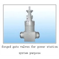 gate valve for power station system