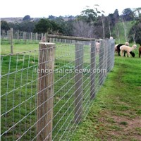 Hot Dipped Galvanzied Cattle Fence / Grassland Fence