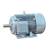 Y Series three phase induction motor
