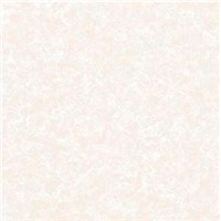 Floor Tile Standard Size (6201)