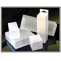 Folding Plastic Packaging Box