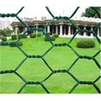 Hexagonal wire netting