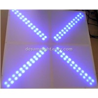 LED Dance Floor / LED Floor (DE-002)