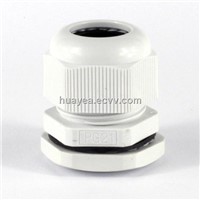 PG Cable Gland PG21