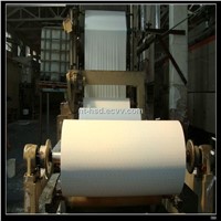 Paper impregnating and drying plant