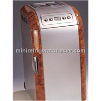 Portable fridge/Thermoelectric Cooler And Warmer/Mini car fridge