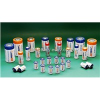Ramway lithium batteries replacement for saft LS14250 LS14500 LS26500 LS33600 LS17500