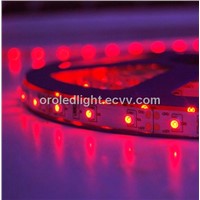 Red Color LED strip light 3528 NWP