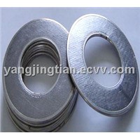 Reinforced Graphite Gasket