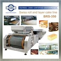 Swiss roll and layer cake line