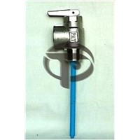 Temperature and Pressure Relief Valve