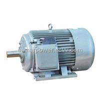 Y Series three phase induction motor