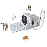 Vet Ultrasound Scanner